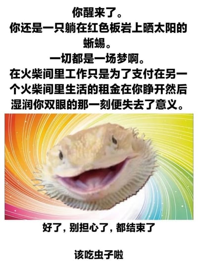 图片上方文字写道“你醒来了。你还是一只躺在红色板岩上晒太阳的蜥蜴。一切都是一场梦啊。在火柴间里工作只是为了支付在另一个火柴间里生活的租金在你睁开然后湿润你双眼的那一刻便失去了意义。”中间是一只张着嘴微笑的蜥蜴，背景为彩色螺旋状。下方文字为“好了，别担心了，都结束了 该吃虫子啦”。通过将打工人的压力生活（“火柴间”暗指狭小的工作和生活空间）与蜥蜴无忧无虑的生活对比，用“一切都是一场梦”的设定制造幽默，最后以“该吃虫子啦”的蜥蜴本能收尾，形成轻松治愈的调侃效果。