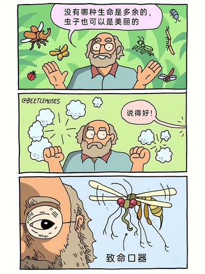 三格连环漫画，讲述一位戴眼镜、有胡须的老人对昆虫态度的转变。第一格中，老人面带微笑，双手摊开，周围环绕着甲虫、蝴蝶、瓢虫等昆虫，说道："没有哪种生命是多余的，虫子也可以是美丽的"。第二格中，老人双拳紧握，周围有愤怒的烟雾效果，一个画外音称赞："说得好!"。第三格特写老人惊恐的眼睛和一只细节夸张的蚊子，蚊子下方标注"致命口器"，形成强烈反差幽默。