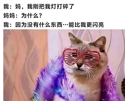 这是一张幽默梗图，上方是一段对话文字："我：妈，我刚把我灯打碎了 妈妈：为什么？ 我：因为没有什么东西…能比我更闪亮"。下方是一只戴着心形墨镜、围着紫色羽毛围巾的猫，表情自信，与对话内容形成有趣呼应，通过夸张的自信和幽默的解释制造笑点。