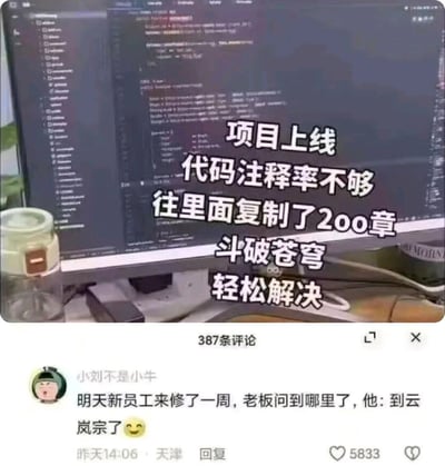 这是一张充满程序员职场趣味的搞笑静态图，整体是社交媒体内容截图：上方是显示代码编辑器的电脑屏幕，配文讲述了程序员为了满足项目上线的代码注释率要求，投机取巧地将知名网络小说《斗破苍穹》的200章内容复制进代码中充当注释的离谱操作；下方是该内容的评论区，用户“小刘不是小牛”的热门评论玩梗延伸，调侃后续新员工维护这份代码时，会把注释里的小说剧情当成工作内容进度，称修了一周代码，进度到了小说里的“云岚宗”剧情节点，用夸张荒诞的方式吐槽职场中应付不合理要求的行为，同时结合网络小说IP玩梗，精准戳中程序员群体的笑点。