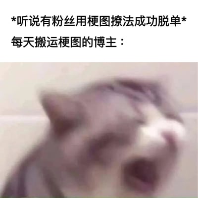 图片上方配有文字“*听说有粉丝用梗图撩法成功脱单* 每天搬运梗图的博主：”，下方是一张模糊的猫咪图片，猫咪嘴巴大张，表情看起来十分震惊或激动，仿佛在表达作为梗图搬运博主得知粉丝用自己搬运的梗图成功脱单后的夸张反应，整体营造出一种搞笑又略带无奈的氛围。