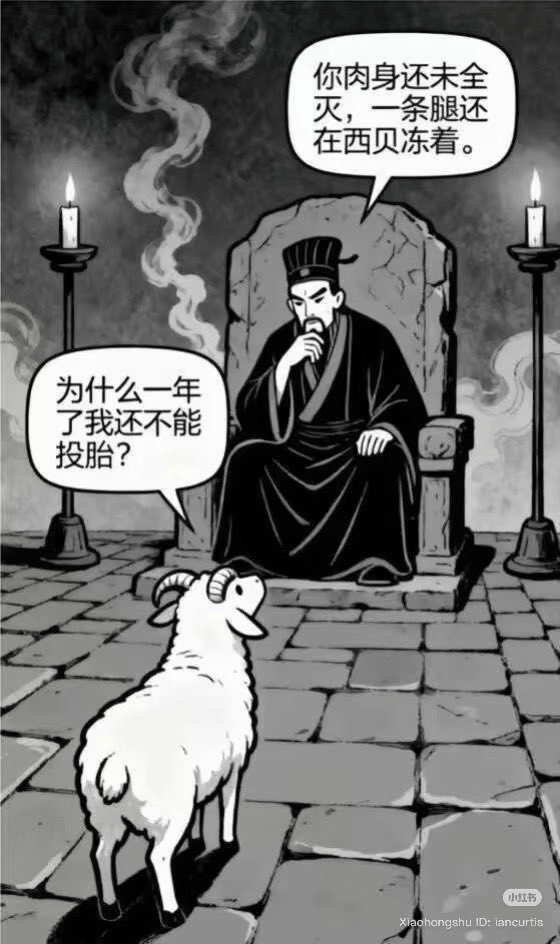 羊