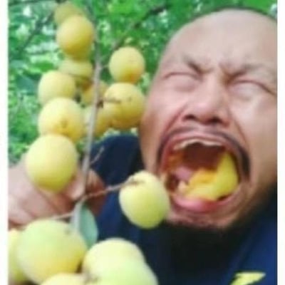 这是一张利用视觉错位手法拍摄的趣味照片，画面中的男子紧闭双眼，张大嘴巴，面部表情夸张扭曲，看起来仿佛正在用力啃食树枝上的黄色果子。实际上男子口中的果子和树枝上的果子是分开的，只是拍摄角度的巧合，营造出了他在咬树上果子的错觉，整体画面充满了搞笑的反差感，十分有趣。