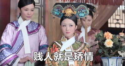 图片为电视剧《甄嬛传》的经典场景截图，画面中央是穿着华丽旗头和服饰的华妃，神情轻蔑傲慢，身旁站着两位宫女，右侧有一盆盛开的玫瑰花。图片下方叠加了华妃的标志性台词“贱人就是矫情”，该台词原用于讽刺他人装模作样，现已成为网络流行语，常被用于戏谑调侃虚伪做作的行为。