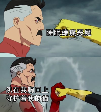 这是一张上下分栏的对比式梗图，改编自动画《无敌少侠》的经典战斗场景。上方画面中，动画角色全能侠严肃地面对标注为“睡眠瘫痪恶魔”的黄色拳头，对应人们对睡眠瘫痪的恐惧心理；下方画面里，全能侠用力攥住这个拳头，配文“趴在我胸口上守护着我的猫”，用反差感调侃当睡眠瘫痪时，趴在胸口的猫反而像守护者一样，消解了睡眠瘫痪的恐惧，将日常的有趣体验和动画场景结合，十分诙谐。