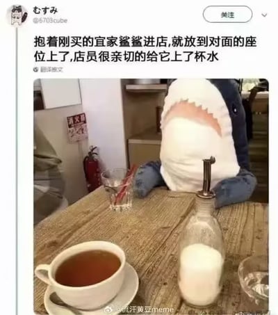 这是一张幽默温馨的梗图：一个网友把刚买的宜家鲨鲨布偶带进咖啡店，让它“坐”在对面位置，店员十分亲切地给这只玩偶也上了一杯水，画面显得非常有爱和搞笑，具有拟人趣味。图片并未涉及双关或谐音梗，而是通过日常生活里的小温情制造幽默氛围。
