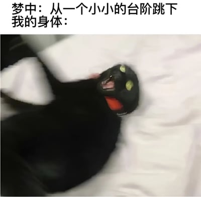 图片上方配有文字“梦中：从一个小小的台阶跳下 我的身体：”，下方是一只黑色猫咪在白色床单上剧烈扭动的画面。猫咪嘴巴大张，眼睛圆睁，表情惊恐，身体呈现出失控翻滚的状态，幽默地用猫咪的夸张反应比喻人们在梦中从台阶跳下时，现实中身体突然抽搐的搞笑场景。