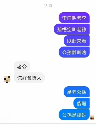 这是一张聊天记录截图，展示了一个关于中国名字的幽默对话。对话中先提出"李白叫老李，孙悟空叫老孙"的命名模式，然后问"公孙离叫啥"。对方回答"老公"并称赞"你好会撩人"，最后揭示正确答案"是老公孙"并吐槽"傻逼，公孙是复姓"。

图片使用了典型的聊天界面格式，左侧为白色气泡，右侧为紫色和蓝色气泡，顶部显示时间16:10。