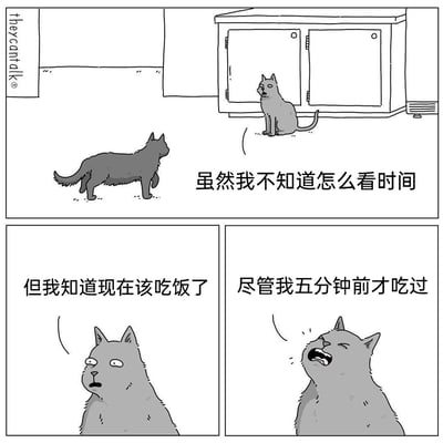 这是一幅改编自theycantalk系列的三格黑白连环漫画，以拟人化的方式展现猫咪的经典习性。第一格中，一只灰色猫咪走向坐在橱柜旁的另一只灰猫，配文“虽然我不知道怎么看时间”；第二格是坐着的灰猫特写，它眼神放空，配文“但我知道现在该吃饭了”；第三格中这只猫咪仰头大叫，配文“尽管我五分钟前才吃过”。漫画用幽默的台词精准还原了猫咪不管是否刚吃过，永远都想讨饭吃的可爱又好笑的状态，能让养猫人产生强烈共鸣。