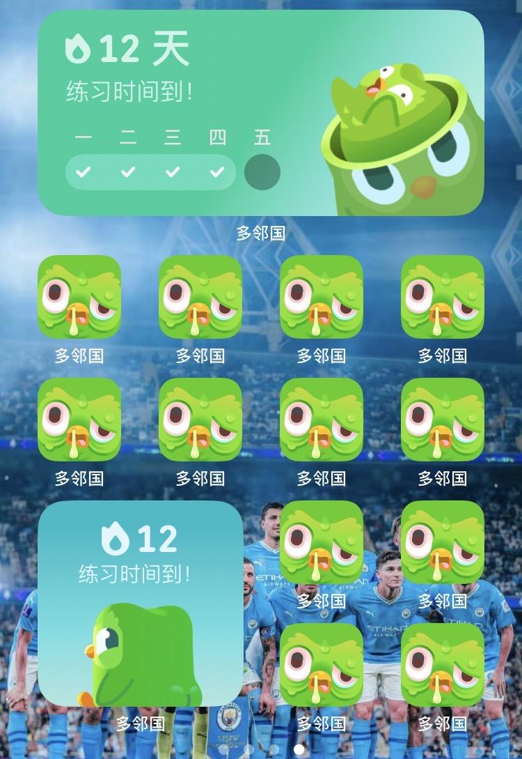 Duolingo