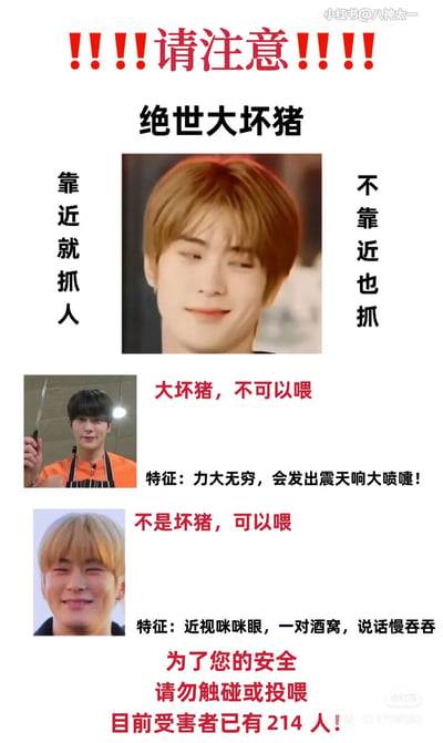 这是一张幽默警告风格的图片，标题为"绝世大坏猪"，上方有醒目的"!!!!请注意!!!!"警示文字。图片主体由三张人物照片和相关描述文字组成，以类似安全警告的格式介绍了所谓"大坏猪"的特征和注意事项，包括"靠近就抓人"、"不靠近也抓"等夸张描述，并幽默地声称"目前受害者已有214人"。