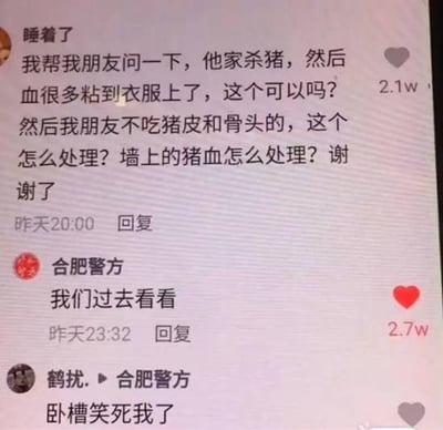 这是一张短视频平台评论区的截图，共有三条高赞互动内容：首先昵称为“睡着了”的用户发布评论，称帮朋友询问杀猪后猪血沾到衣服能否清理、不吃的猪皮骨头以及溅到墙上的猪血该如何处理，该评论获2.1万点赞；随后政务账号“合肥警方”回复该评论称“我们过去看看”，获2.7万点赞；最后昵称为“鹤扰.”的用户回复合肥警方的评论称“卧槽笑死我了”。因为提问内容的描述和行凶后清理现场的表述高度相似，合肥警方的回复暗含“怀疑是命案要上门核查”的梗，形成了强烈的反差幽默效果，笑点十足。