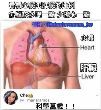 这是一张结合医学插图的幽默梗图，主体为人体胸腔内部的心脏和肝脏解剖示意图，分别标注了“心臟 (Heart)”和“肝臟 (Liver)”。图片上方配有文字“看看心臟跟肝臟的比例 你應該多喝一點 少擔心一點”，通过对比心脏和肝脏的大小比例，幽默地建议人们“多喝一点，少担心一点”。底部有社交媒体账号“@_mariaramos”及文字“科學萬歲！！”，整体风格轻松诙谐，用医学图示进行趣味化表达。