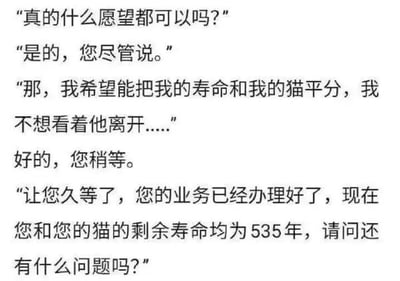 这是一张纯文字对话梗图，内容为一段充满温情又带点幽默的对话。一人向未知存在询问是否能实现任何愿望，得到肯定答复后，希望能与自己的猫平分寿命以避免分离。对方办理后告知，现在他和猫的剩余寿命均为535年。通过夸张的寿命数字制造出意想不到的搞笑效果，同时体现了宠物主人对猫咪的深厚感情。