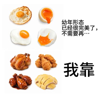整张图采用上下对比的构图，背景为纯白色。上半部分排列了4种不同做法的鸡蛋类美食：左上角是边缘焦脆的煎荷包蛋、右上角是切开流心的溏心水煮蛋、左下角是口感软嫩的溏心煎蛋、右下角是咬开流心的水煮蛋，右侧配文“幼年形态已经很完美了，不需要再…”，铺垫鸡蛋作为鸡的“幼年形态”已经足够美味。下半部分排列了4种不同做法的鸡肉类美食：左上角是烤整鸡、右上角是香酥炸鸡腿、左下角是酱卤鸡腿、右下角是白切鸡，右侧搭配醒目的粗体大字“我靠”，通过前后反差制造笑点，传达出鸡肉美食的吸引力远超预期的惊喜感。