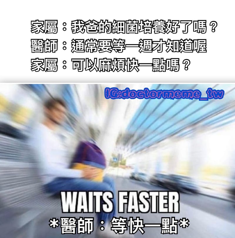 網路迷因