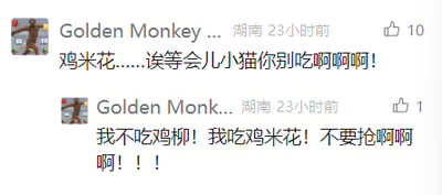 这是一张竖屏格式的社交媒体评论区截图，来自用户“Golden Monkey...”，发布地显示为湖南，发布时间为23小时前。截图包含两条连贯的评论：第一条评论内容为“鸡米花……诶等会儿小猫你别吃啊啊啊！”，获得10个点赞；第二条评论内容为“我不吃鸡柳！我吃鸡米花！不要抢啊啊啊！！！”，获得1个点赞。用户以夸张的语气，模拟出和自家小猫争抢鸡米花的趣味场景，充满生活感与搞笑氛围，既展现出对鸡米花的喜爱，也体现了和宠物互动的日常乐趣。