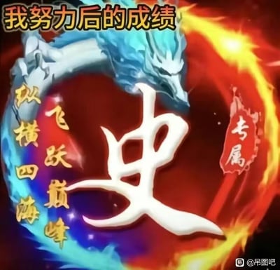 这是一张结合谐音自嘲梗的史姓专属静态梗图，顶部文字“我努力后的成绩”点明创作主题，画面中心是醒目的白色书法字体“史”，搭配蓝龙环绕、红黄色火焰的炫酷视觉特效，左侧配有“纵横四海，飞跃巅峰”的励志古风对联，右侧标注“专属”字样。利用“史”与“屎”的谐音，形成努力后结果不尽如人意的反差自嘲效果，整体视觉风格炫酷，却通过谐音梗传递出搞笑的挫败感，适合用作姓氏相关的搞笑头像或社交平台自嘲素材。