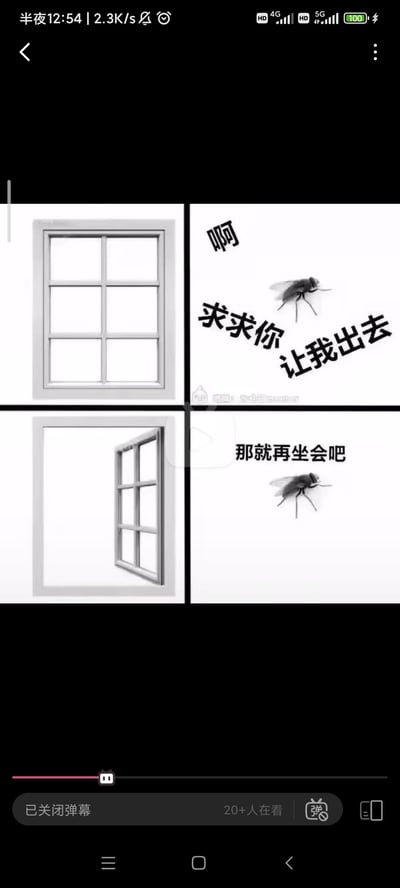 这是一个四格漫画风格的梗图，展示了一只苍蝇的矛盾心理。左上角画面是一扇紧闭的窗户，右上角是一只苍蝇配文“啊 求求你 让我出去”，表达想出去的愿望。左下角画面是同一扇窗户但已打开，右下角还是那只苍蝇，配文却变成了“那就再坐会吧”，形成了有趣的反转和幽默效果。