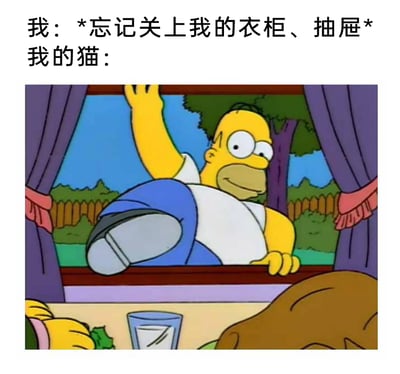 这是一张贴合养猫日常的搞笑梗图，上方配文分为两部分：第一部分是主人的行为描述“我：*忘记关上我的衣柜、抽屉*”，第二部分引出猫咪的反应“我的猫：”，下方搭配美国经典动画《辛普森一家》中霍默·辛普森兴奋地翻窗闯入房间的截图。用这个生动的动画场景，调侃猫咪天生的好奇心与探索欲——当主人没关好衣柜、抽屉这类封闭空间时，猫咪会像霍默一样迫不及待地“闯入”，精准戳中养猫人的日常趣事，充满诙谐感。