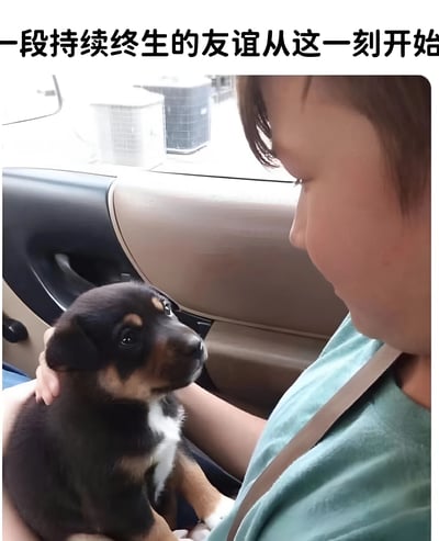 图片中展示了一个温馨的场景：一位穿着浅绿色上衣的小女孩坐在汽车副驾驶座上，正温柔地抱着一只棕黑色相间的小狗。小女孩系着安全带，低头注视着怀里的小狗，而小狗则抬起头，用一双明亮的大眼睛好奇地望着女孩。图片上方配有文字'一段持续终生的友谊从这一刻开始'，完美诠释了这个充满温情的瞬间。车内环境清晰可见，窗外有空调外机等物品。整个画面传递出人与动物之间纯真美好的情感连接。