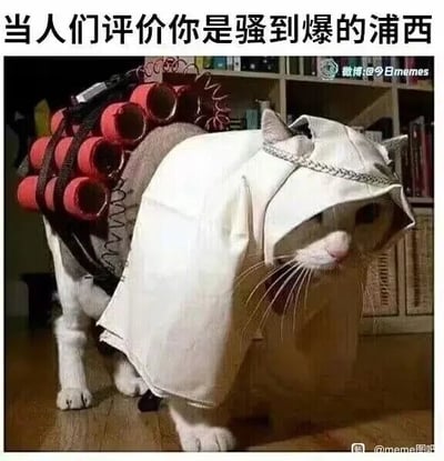 这是一张经过P图改编的静态单图，画面主体是一只灰白色的猫咪，它的头上被戴上了类似头巾的白色布套，背部被捆绑了多个红色的仿真炸药道具，猫咪四肢着地站立，表情蔫蔫的，看起来有些无奈，呈现出被迫营业的姿态。图片顶部配有醒目的黑色文字“当人们评价你是骚到爆的浦西”，用夸张的视觉造型呼应文字里的“爆”，将被评价的张扬感用带炸药的搞笑形象具象化，通过猫咪的无奈表情和夸张装扮的反差，制造出幽默搞笑的效果，适合用来回应他人的调侃评价或者进行自嘲。