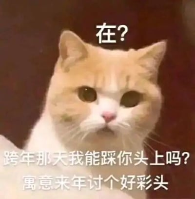 这是一张用于跨年社交互动的趣味表情包，主体是一只黄白相间的猫咪，它表情严肃地直视镜头，神态一本正经。图中配有三段递进式的文字：顶部的“在？”以提问开启对话，紧接着的“跨年那天我能踩你头上吗？”抛出一个玩笑式的奇怪请求，最后一句“寓意来年讨个好彩头”揭晓内核，运用了“踩头”与“彩头”的谐音梗，将搞怪的提问和新年讨好运的传统习俗结合，用幽默的方式传递对来年的美好期许，适合在跨年之际发给好友，增添节日互动的趣味性。
