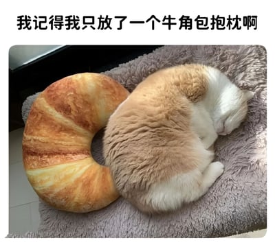 这张图片展示了一只橘白相间的猫咪蜷缩在牛角包形状的抱枕旁边睡觉，猫咪的毛色和形状与抱枕非常相似，让人难以分辨。图片上方配有文字'我记得我只放了一个牛角包抱枕啊'，幽默地表达了这种视觉上的混淆，营造出轻松搞笑的氛围。