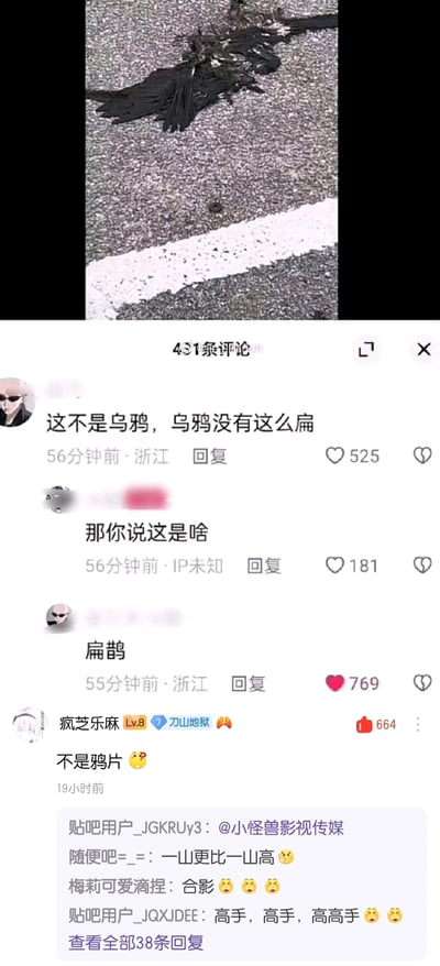 这是一张来自百度贴吧的社交媒体评论截图，画面上方是被车辆压扁在路面的黑色鸟类，外形类似乌鸦但被压得扁平；下方评论区中，网友围绕这只扁鸟玩起谐音梗互动：一名网友先指出“这不是乌鸦，乌鸦没有这么扁”，另一名网友追问“那你说这是啥”，该网友回复“扁鹊”，利用“扁（被压扁的）”和“鸦（谐音鹊）”的谐音制造笑点，还有其他网友跟进玩梗“不是鸦片”，相关评论获得了大量点赞，整体是充满趣味的网络搞笑内容，通过谐音梗将日常场景转化为段子。