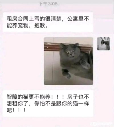 这是一张微信聊天记录静态截图，呈现了一段充满笑点的租房沟通对话。对话初期，房东依据租房合同告知租客公寓禁止养宠物，租客随即发送了一张蓝猫卡在栏杆上、表情呆滞看起来傻气十足的照片，房东看到后情绪激动，不仅强调“智障的猫更不能养”，还表示不想把房子租给租客，甚至调侃租客和猫一样“傻”，通过这种夸张的回复和傻气的猫图形成反差，制造出搞笑的效果，调侃了租房时的趣味沟通场景。