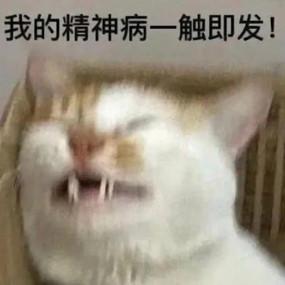 图片中是一只在纸箱里的猫咪，它双眼微眯，嘴巴大张露出尖锐的牙齿，表情显得非常暴躁凶狠。图片上方配有黑色粗体文字“我的精神病一触即发！”，通过猫咪的暴躁表情与文字内容相结合，以幽默夸张的方式表达一种即将情绪失控的状态，常用于网络上的搞笑吐槽或情绪宣泄场景。
