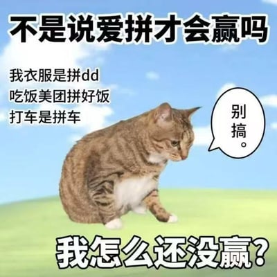 这是一张图文混排的网络梗图，背景是蓝天白云下的绿色草地，主体是一只蹲坐在地上、垂头丧气的狸花猫，猫咪旁边配有一个写着“别搞。”的对白气泡。图中还分布着三段文字：顶部是“不是说爱拼才会赢吗”，中间是“我衣服是拼dd 吃饭美团拼好饭 打车是拼车”，底部是“我怎么还没赢？”。
这张图运用了谐音梗，将俗语“爱拼才会赢”里代表“拼搏”的“拼”，谐音成了消费场景里“拼单、拼车”的“拼”，用当代年轻人日常中常见的拼单消费行为，吐槽自己践行了各种“拼”却没有获得预期的“成功”，充满了无奈与自嘲的情绪。
对于图中的问题，其实这里的“拼”和俗语里的“拼搏”并非同一概念，只是谐音，所以自然无法获得“赢”的结果，这是通过谐音制造的反差来实现吐槽效果。