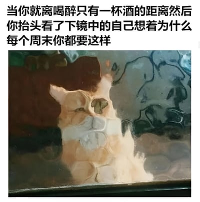 图片上方为黑色文字，内容描述一个人即将喝醉时，抬头看镜中自己并反思为何每个周末都如此。下方是一幅风格化图像，一只橘白相间的猫咪正对着镜子，眼神中带着沉思与些许无奈，仿佛在模仿文字中描述的人类内心活动，整体营造出一种自嘲又略带忧郁的氛围。