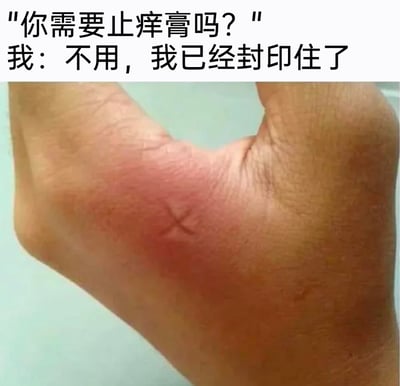 这是一张充满生活趣味的搞笑梗图，画面主体是一只人类的手背，手背被蚊虫叮咬后出现了明显的红肿区域，在红肿的中心位置被画了一个X形标记。图中的配文构建了一段对话：他人询问“你需要止痒膏吗？”，“我”则回复“不用，我已经封印住了”。该图借用奇幻作品里“封印”的设定，将画X这种无实际止痒效果的行为调侃成封印痒感的操作，用夸张搞笑的方式展现日常被蚊虫叮咬后的小趣事，轻松幽默，引发共鸣。