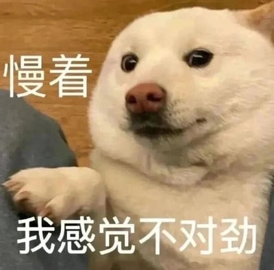 这是一张文字加注类的静态表情包图片，主体是一只白色柴犬，它的一只前爪搭在旁边的灰色物体上，眼神带着明显的疑惑，嘴角微微下撇，露出怀疑、警觉的神情。图片上方配有文字“慢着”，下方配有文字“我感觉不对劲”，两者结合，精准地传递出察觉到事情存在蹊跷、想要叫停当前状况的情绪，适合在聊天场景中表达自己的质疑、疑惑，或是对即将发生的事情产生不安与警觉时使用。