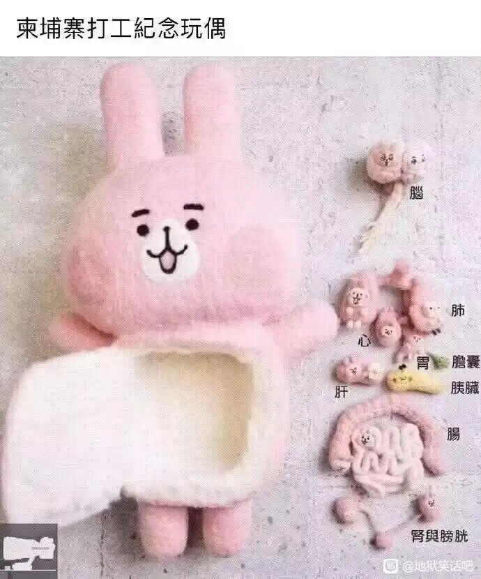 卡娜赫拉的小动物