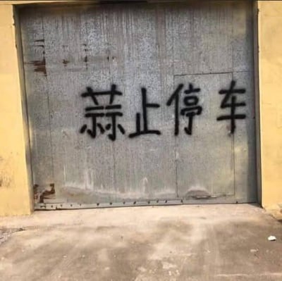 整张图片是现实场景实拍静态图，画面展示了一处民用车库的入口：两侧是土黄色的水泥墙面，中间是老旧的银灰色金属卷帘门，门前为灰色水泥地面。卷帘门上用黑色粗喷漆手写了四个大字“蒜止停车”，原本想要表达的“禁止停车”提示语里的“禁”字被误写为“蒜”，错别字形成了奇特的趣味效果，既达到了提醒不要在此处停车的目的，又因荒诞的错字产生了笑点。