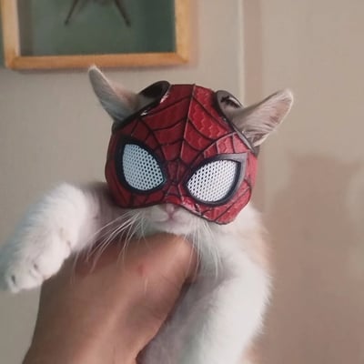一只白色的猫咪戴着红色的蜘蛛侠面具，面具上有黑色的蜘蛛网纹路和白色的眼睛。猫咪的耳朵从面具顶部的开口处伸出来，显得十分可爱。一只人手正托着猫咪的身体，背景中可以看到一面墙和一幅挂在墙上的画框。