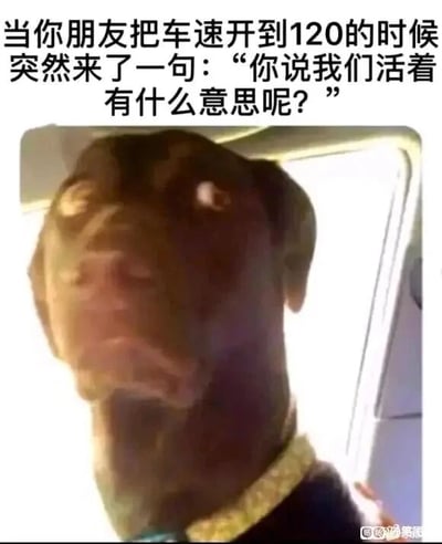 这是一张图文混排的搞笑表情梗图，图上方配有文字“当你朋友把车速开到120的时候突然来了一句：‘你说我们活着有什么意思呢？’”，下方是一只狗狗的实拍照片，狗狗眼睛圆睁，面部肌肉紧绷，呈现出惊恐又茫然的神情。这个梗图的笑点在于，在车辆以120码高速行驶的情况下，开车的朋友突然问出带有消极情绪的人生意义问题，会让同乘的人瞬间陷入恐慌，担心朋友的精神状态和行车安全，而狗狗的表情完美复刻了这种震惊、恐慌又不知所措的情绪，用动物表情来放大这种场景下的情绪，显得十分生动搞笑，常用于调侃生活中这种突发的、让人不安的场景。