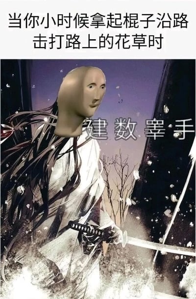 这是一张趣味十足的网络梗图，顶部配有文字“当你小时候拿起棍子沿路击打路上的花草时”，点明了童年的一个常见行为场景。下方是经过P图合成的图像：将一个表情怪异、神态呆滞的抽象人脸，替换掉了日式武侠风格插画里武士的头部，武士身着传统服饰，手持武士刀，背景是带有飘落物的肃杀战斗场景，仿佛正处于激烈的斩击动作中。在人物的右侧，还配有谐音文字“建数睾手”，是“剑斩高手”的谐音，用来调侃小时候拿着棍子打路边花草时，会把自己脑补成剑术高超、能斩击万物的厉害武士的中二心态，用夸张的合成形象和谐音梗，放大了童年幼稚又好笑的行为，极易引发有相似童年经历的网友的共鸣。