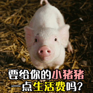 可爱小猪请求生活费的萌系动图