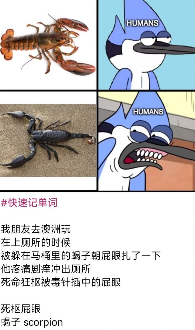 日常工作 (Regular Show)