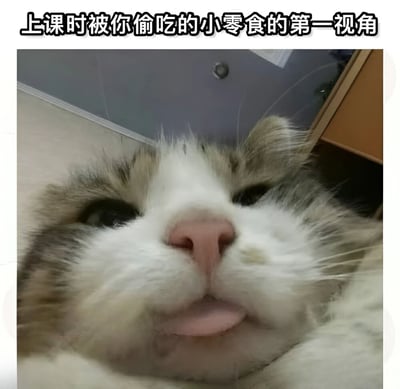 图片上方有文字标题'上课时被你偷吃的小零食的第一视角'，下方是一张猫咪的特写照片。猫咪抬头仰视，嘴巴微张，舌头轻吐，表情呆萌无辜，仿佛从被偷吃的小零食视角展现出紧张又可爱的模样，整体营造出幽默诙谐的校园生活场景。