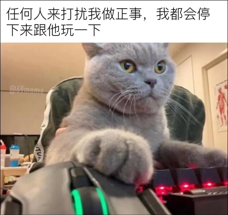 网络萌宠表情包素材