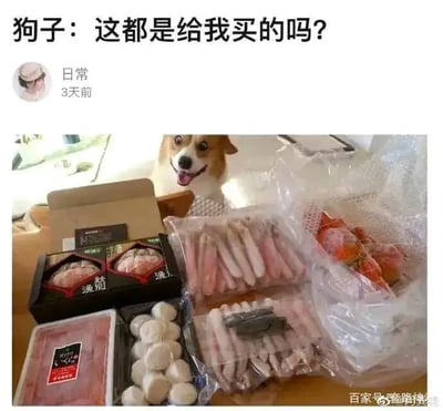暂无描述