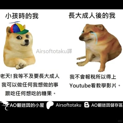 这是一张采用左右对比形式的网络迷因图，左侧使用戴着彩色螺旋桨帽子的经典Doge（神烦狗）梗图代表童年时期的自己，配文表达了孩童时期对长大的迫切期待，认为成年后可以随心所欲做任何事、吃任何想吃的糖果；右侧使用哭泣的Cheems柴犬梗图代表成年后的自己，配文道出了成年人的真实无奈——因为不会报税，只能去Youtube观看教学视频来解决。图中通过童年的美好幻想与成年的琐碎烦恼形成强烈反差，精准戳中当代成年人的成长痛点，引发广泛共鸣。