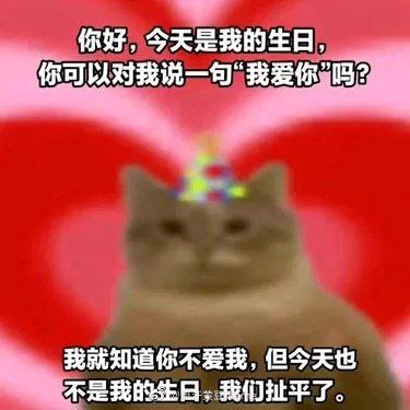图片中是一只戴着彩色生日帽的猫咪，背景为红色爱心图案。上方文字写道“你好，今天是我的生日，你可以对我说一句‘我爱你’吗？”，下方文字则反转“我就知道你不爱我，但今天也不是我的生日，我们扯平了。”，通过前后矛盾的对话制造幽默效果，整体风格俏皮可爱。