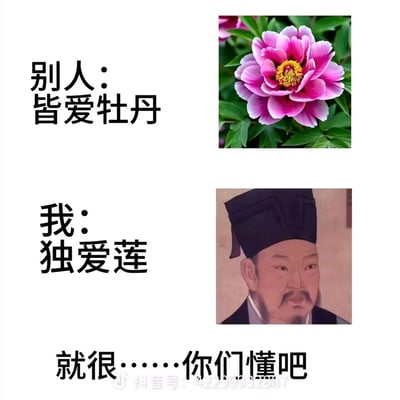 这是一张上下布局的搞笑网络梗图，背景为纯白色。上半部分左侧配黑色粗体字“别人：皆爱牡丹”，右侧对应摆放一张盛开的粉紫色牡丹实景照片，呼应牡丹受大众喜爱的传统意象；下半部分左侧配黑色粗体字“我：独爱莲”，右侧对应摆放北宋文学家周敦颐的古代人物肖像画，呼应其创作的《爱莲说》中“予独爱莲之出淤泥而不染”的名句；图片最下方配黑色粗体字“就很……你们懂吧”，故意不点破谐音梗内容，引导观看者自行联想其中的隐晦笑点，整体风格轻松诙谐。