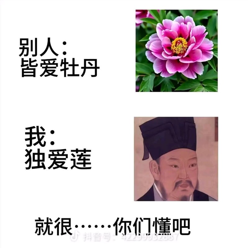 《爱莲说》