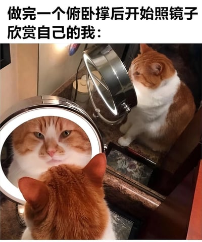 图片上方配有文字“做完一个俯卧撑后开始照镜子欣赏自己的我：”，下方是一只橘白相间的猫正对着镜子端详自己的画面。猫咪表情认真，眼神中透露出一丝得意和自我欣赏，幽默地比喻了人们在做了少量运动后就自我感觉良好、急于展示成果的可爱心态。